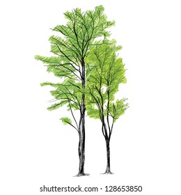 Tree vector - Hand drawn
