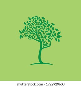 Vector de árbol, dibujado a mano, ilustración de la plantilla de diseño vectorial de árbol de oliva