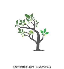 Tree Vector ,hand drawn,  illustration of  Olive tree vector design template