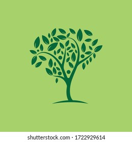 Tree Vector ,hand drawn,  illustration of  Olive tree vector design template