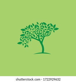 Tree Vector ,hand drawn,  illustration of  Olive tree vector design template