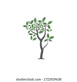 Tree Vector ,hand drawn,  illustration of  Olive tree vector design template