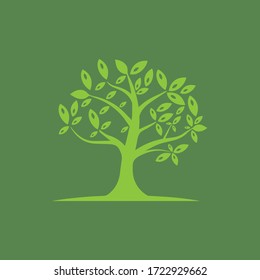 Tree Vector ,hand drawn,  illustration of  Olive tree vector design template