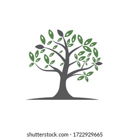 Tree Vector ,hand drawn,  illustration of  Olive tree vector design template