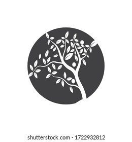 Tree Vector ,hand drawn,  illustration of  Olive tree vector design template