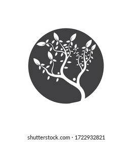 Tree Vector ,hand drawn,  illustration of  Olive tree vector design template