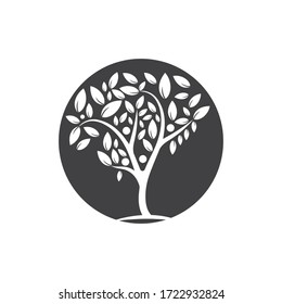 Tree Vector ,hand drawn,  illustration of  Olive tree vector design template