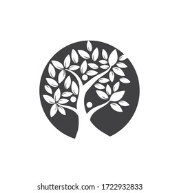 Tree Vector ,hand drawn,  illustration of  Olive tree vector design template
