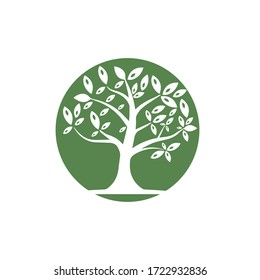 Tree Vector ,hand drawn,  illustration of  Olive tree vector design template