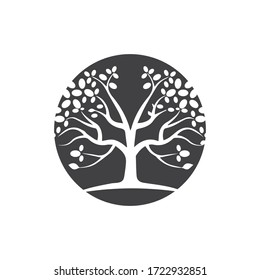 Tree Vector ,hand drawn,  illustration of  Olive tree vector design template