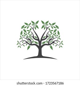 Tree Vector ,hand drawn,  illustration of  Olive tree vector design template