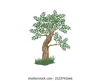 tree vector hand drawn isolated on white