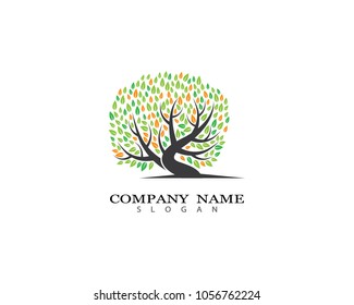 Tree vector icon