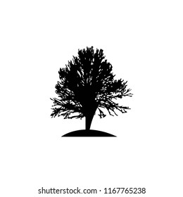 tree vector icon