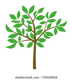Tree vector icon