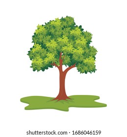 Tree Vector icon Illustration, with flat design