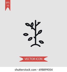 Tree vector icon, illustration symbol