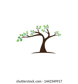 Tree vector icon. logo design elements.