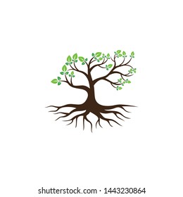 Tree vector icon. logo design elements.