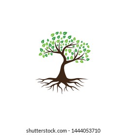 Tree vector icon. logo design elements.