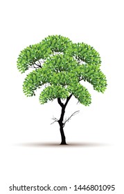 tree vector icon. logo design elements.
