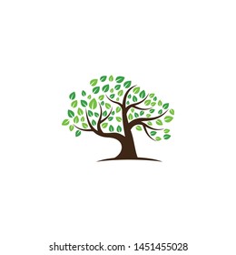 Tree vector icon. logo design elements.