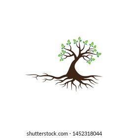 Tree vector icon. logo design elements.