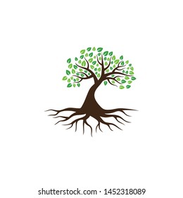 Tree vector icon. logo design elements.