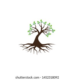 Tree vector icon. logo design elements.