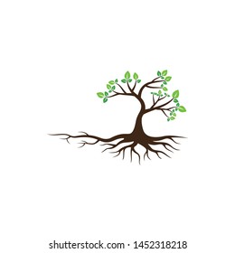 Tree vector icon. logo design elements.