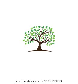 Tree vector icon. logo design elements.