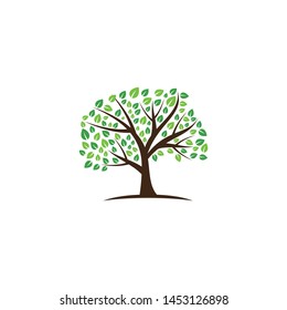 Tree vector icon. logo design elements.