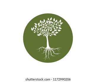 
tree vector icon logo green design