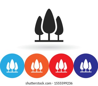 Tree Vector icon . Lorem Ipsum Illustration design