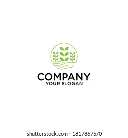 Tree vector icon. Nature trees vector illustration logo design.