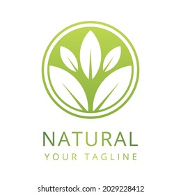 Tree vector icon. Nature trees vector illustration logo design.