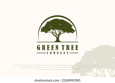 Tree vector icon. Nature trees vector illustration logo design.