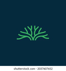 Tree vector icon. universal illustration botanical tree design concept.