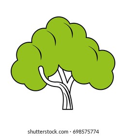 tree vector illustation 