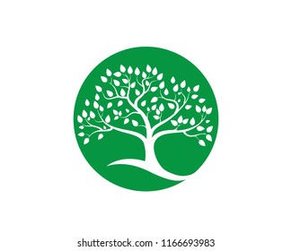 
tree vector illustration