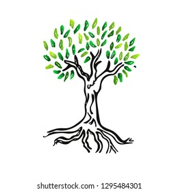 tree vector, tree illustration, illustration of tree