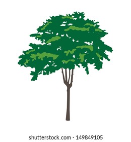 Tree, vector illustration