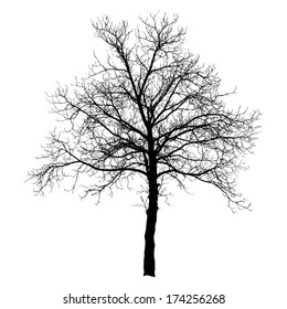 Tree vector illustration.