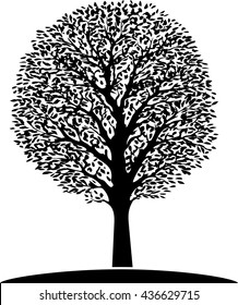 Tree vector illustration