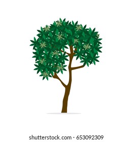 Tree, vector illustration.