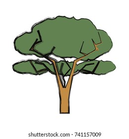 tree  vector illustration