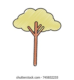tree  vector illustration