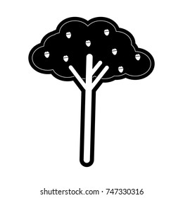 tree  vector illustration