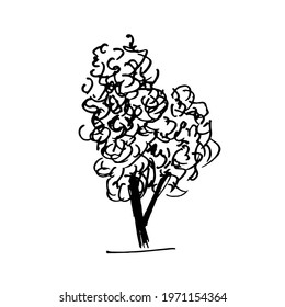Tree vector illustration. Black tree doodles isolated on white background.