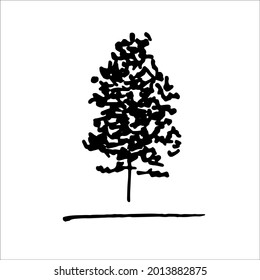 Tree vector illustration. Black tree doodles isolated on white background.